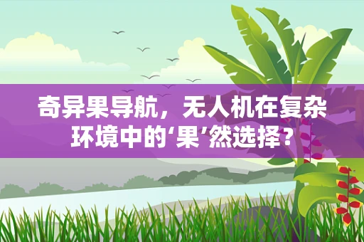 奇异果导航，无人机在复杂环境中的‘果’然选择？
