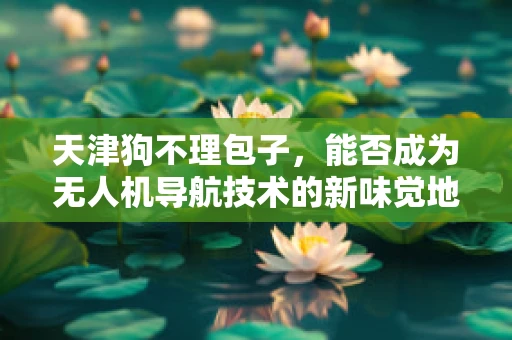 天津狗不理包子，能否成为无人机导航技术的新味觉地标？