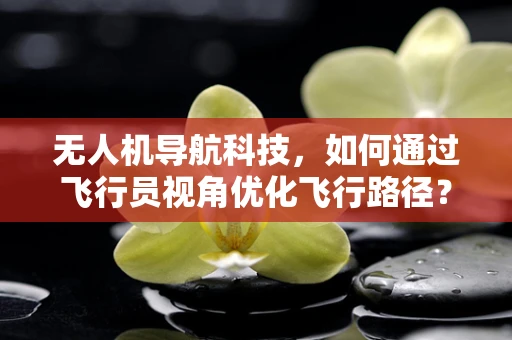 无人机导航科技，如何通过飞行员视角优化飞行路径？