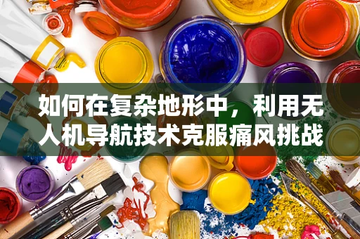 如何在复杂地形中，利用无人机导航技术克服痛风挑战？
