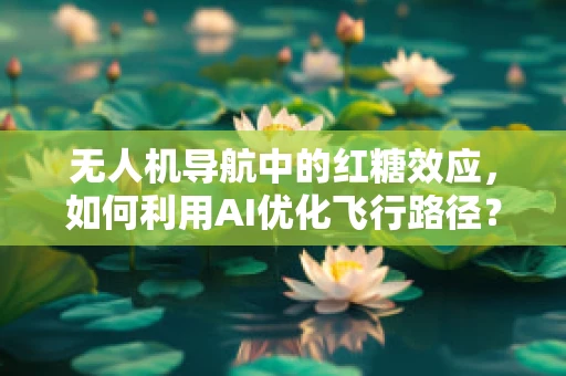 无人机导航中的红糖效应，如何利用AI优化飞行路径？