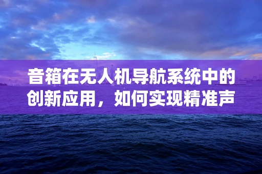音箱在无人机导航系统中的创新应用，如何实现精准声控导航？