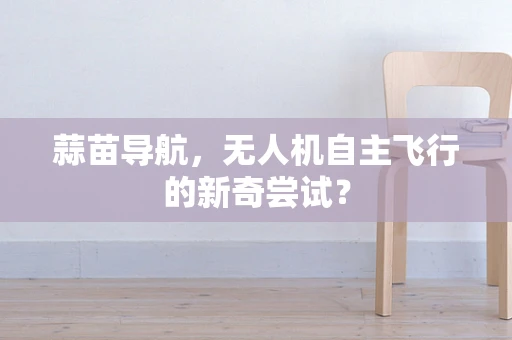 蒜苗导航，无人机自主飞行的新奇尝试？