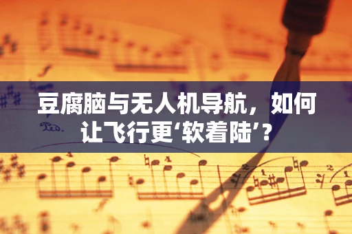 豆腐脑与无人机导航，如何让飞行更‘软着陆’？