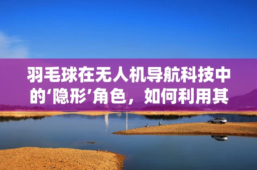 羽毛球在无人机导航科技中的‘隐形’角色，如何利用其飞行特性优化避障系统？