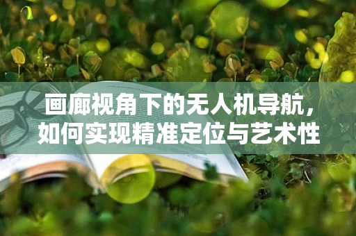 画廊视角下的无人机导航，如何实现精准定位与艺术性飞行？