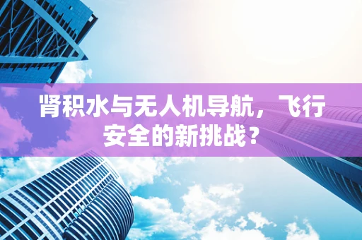 肾积水与无人机导航，飞行安全的新挑战？