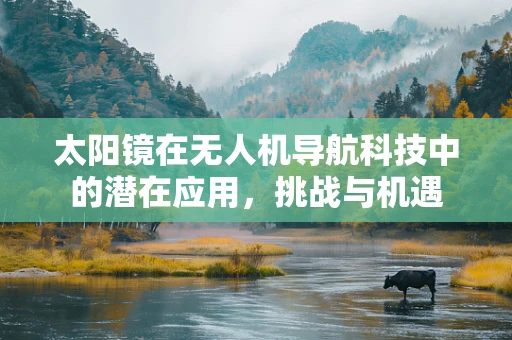 太阳镜在无人机导航科技中的潜在应用，挑战与机遇