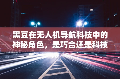 黑豆在无人机导航科技中的神秘角色，是巧合还是科技新突破？