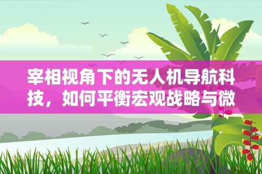 宰相视角下的无人机导航科技，如何平衡宏观战略与微观精准？
