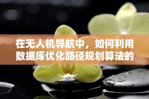 在无人机导航中，如何利用数据库优化路径规划算法的效率？