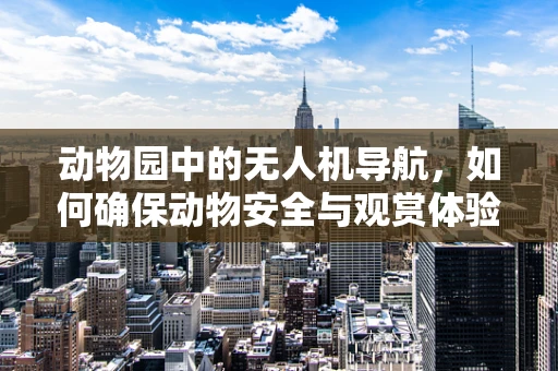 动物园中的无人机导航，如何确保动物安全与观赏体验的平衡？