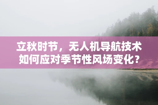 立秋时节，无人机导航技术如何应对季节性风场变化？