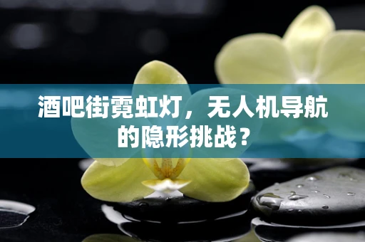 酒吧街霓虹灯，无人机导航的隐形挑战？