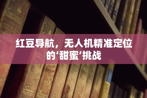 红豆导航，无人机精准定位的‘甜蜜’挑战
