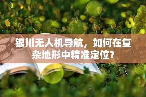 银川无人机导航，如何在复杂地形中精准定位？
