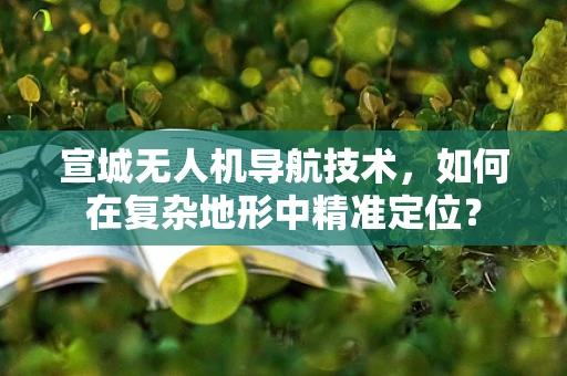 宣城无人机导航技术，如何在复杂地形中精准定位？