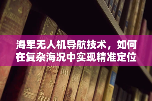 海军无人机导航技术，如何在复杂海况中实现精准定位？