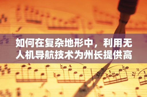 如何在复杂地形中，利用无人机导航技术为州长提供高效安全的巡查方案？