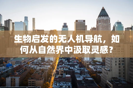 生物启发的无人机导航，如何从自然界中汲取灵感？