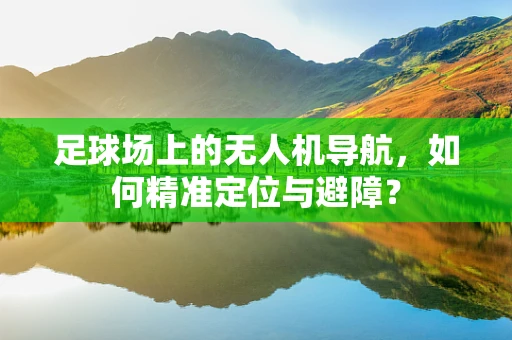 足球场上的无人机导航，如何精准定位与避障？