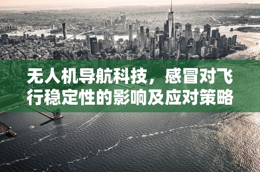 无人机导航科技，感冒对飞行稳定性的影响及应对策略