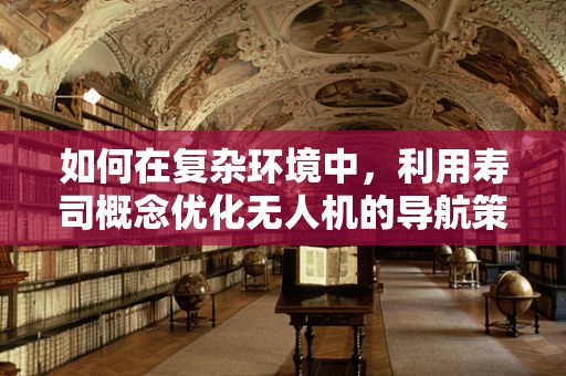 如何在复杂环境中，利用寿司概念优化无人机的导航策略？