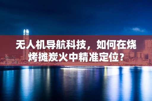 无人机导航科技，如何在烧烤摊炭火中精准定位？