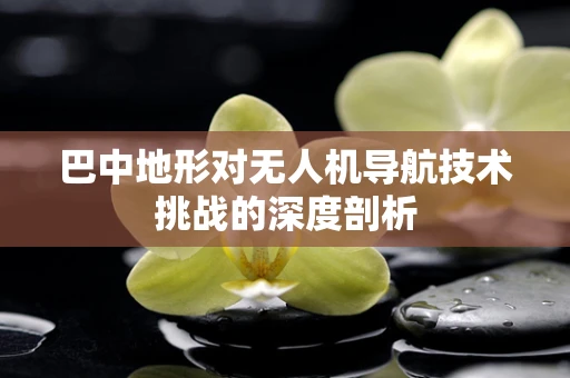 巴中地形对无人机导航技术挑战的深度剖析
