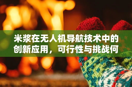 米浆在无人机导航技术中的创新应用，可行性与挑战何在？