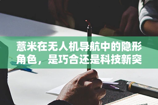 薏米在无人机导航中的隐形角色，是巧合还是科技新突破？