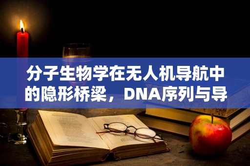 分子生物学在无人机导航中的隐形桥梁，DNA序列与导航算法的奇妙融合？