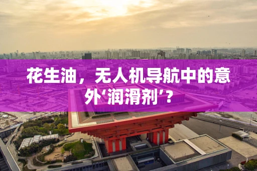 花生油，无人机导航中的意外‘润滑剂’？