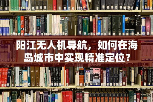 阳江无人机导航，如何在海岛城市中实现精准定位？
