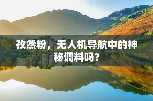 孜然粉，无人机导航中的神秘调料吗？