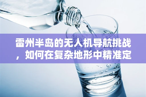 雷州半岛的无人机导航挑战，如何在复杂地形中精准定位？
