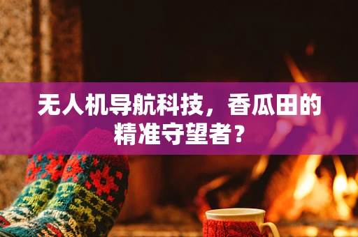 无人机导航科技，香瓜田的精准守望者？