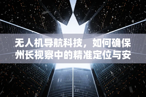 无人机导航科技，如何确保州长视察中的精准定位与安全？