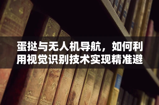 蛋挞与无人机导航，如何利用视觉识别技术实现精准避障？