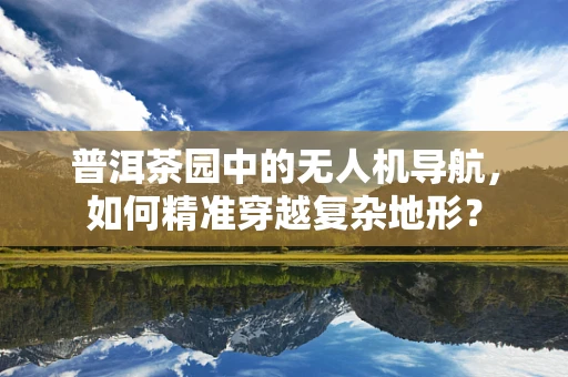 普洱茶园中的无人机导航，如何精准穿越复杂地形？