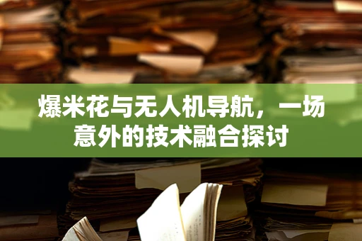 爆米花与无人机导航，一场意外的技术融合探讨