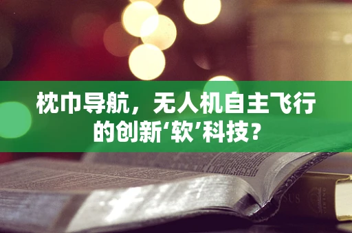 枕巾导航，无人机自主飞行的创新‘软’科技？