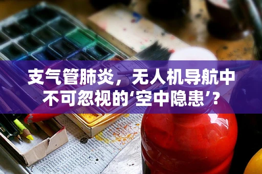 支气管肺炎，无人机导航中不可忽视的‘空中隐患’？