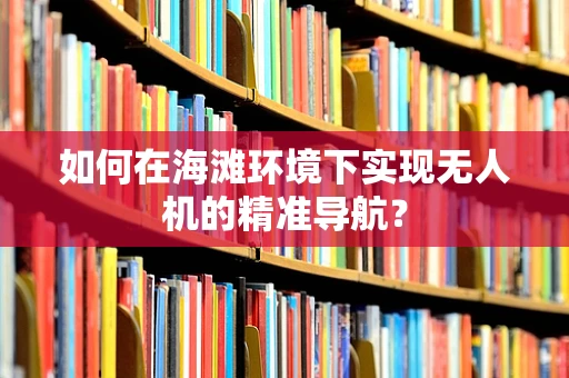 如何在海滩环境下实现无人机的精准导航？