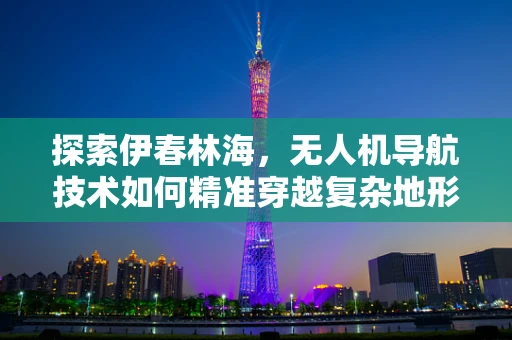 探索伊春林海，无人机导航技术如何精准穿越复杂地形？