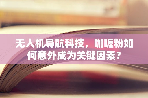 无人机导航科技，咖喱粉如何意外成为关键因素？
