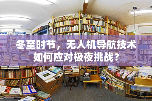 冬至时节，无人机导航技术如何应对极夜挑战？