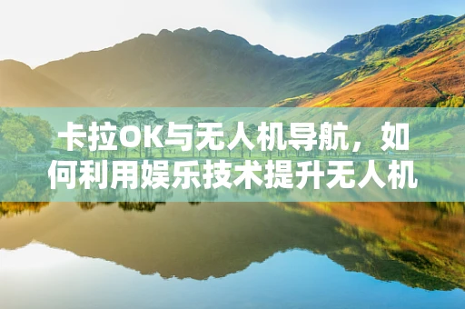 卡拉OK与无人机导航，如何利用娱乐技术提升无人机定位精度？