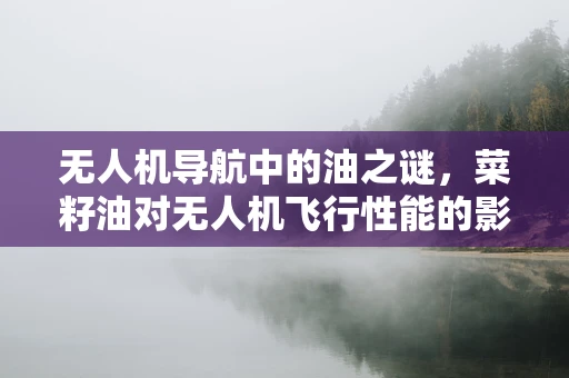 无人机导航中的油之谜，菜籽油对无人机飞行性能的影响