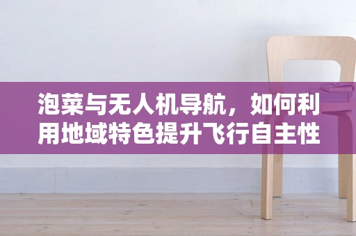 泡菜与无人机导航，如何利用地域特色提升飞行自主性？